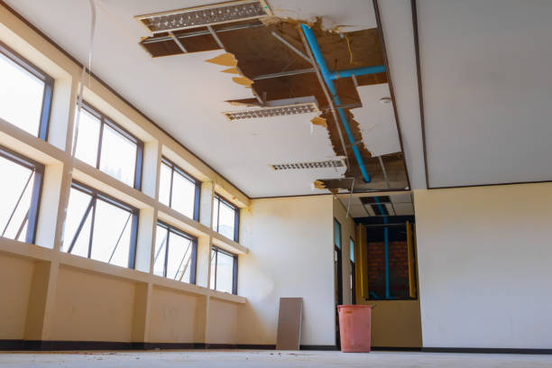 Best Water damage cleanup near me  in Arden On The Severn, MD