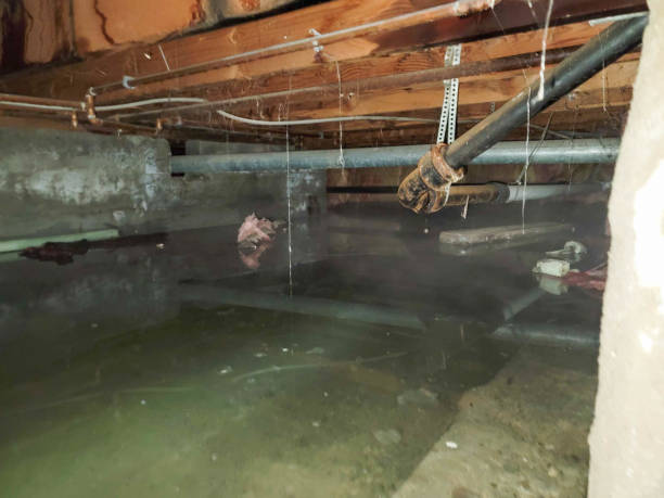 Best Residential water damage restoration  in Arden On The Severn, MD