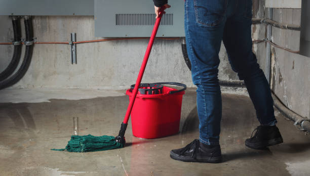 Best Water damage contractors near me  in Arden On The Severn, MD