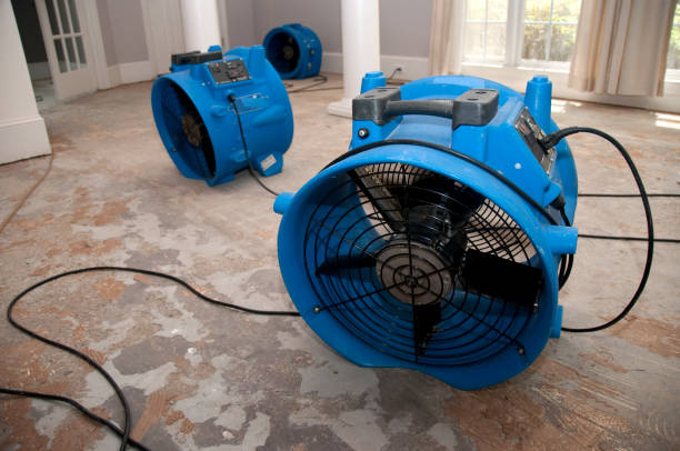 Best Flood damage cleanup  in Arden On The Severn, MD