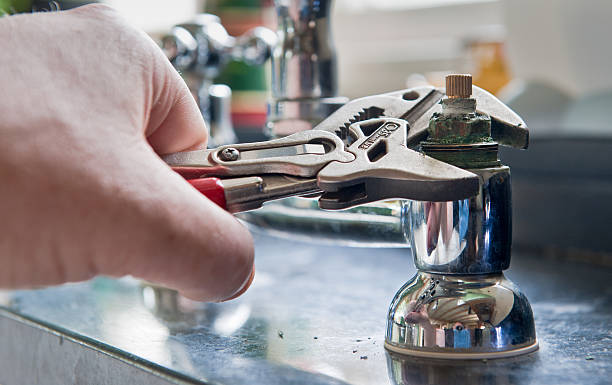 Best Mold removal after water damage  in Arden On The Severn, MD