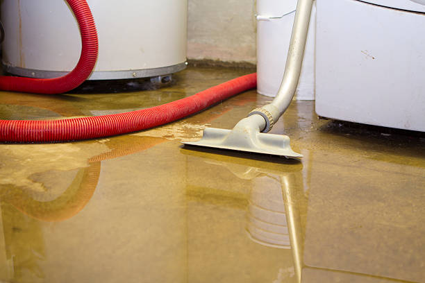 Best Fire Damage Restoration  in Arden On The Severn, MD