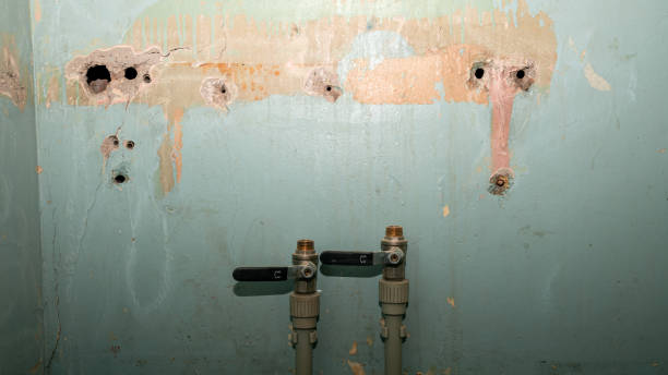 Best Ceiling water damage repair  in Arden On The Severn, MD