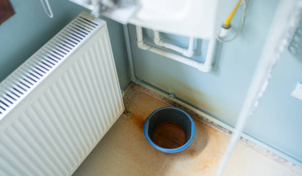Best Professional water damage repair  in Arden On The Severn, MD