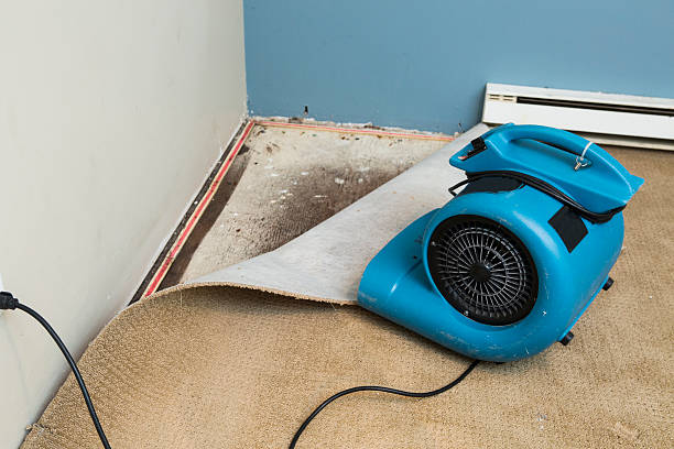 Best Commercial water damage restoration  in Arden On The Severn, MD